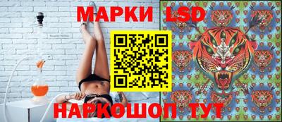 скорость Донской