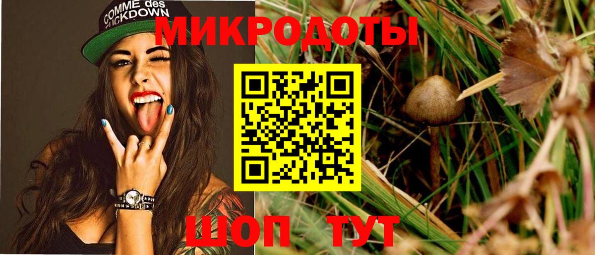 Галлюциногенные грибы Psilocybe  Вход с VPN  Лянтор 